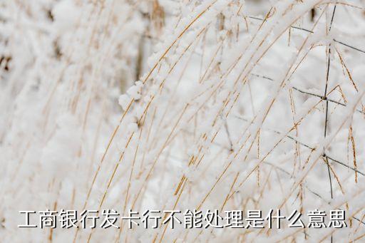 工商銀行發(fā)卡行不能處理是什么意思