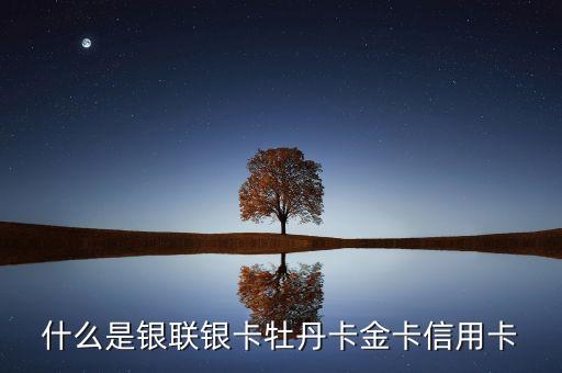 中國(guó)銀行銀聯(lián)是什么卡，什么是銀聯(lián)銀卡牡丹卡金卡信用卡