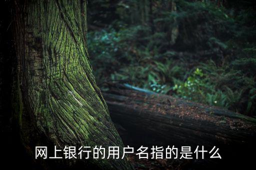 網(wǎng)上銀行的用戶名指的是什么