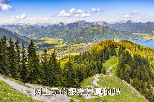 網(wǎng)上賣的糧票是真的嗎