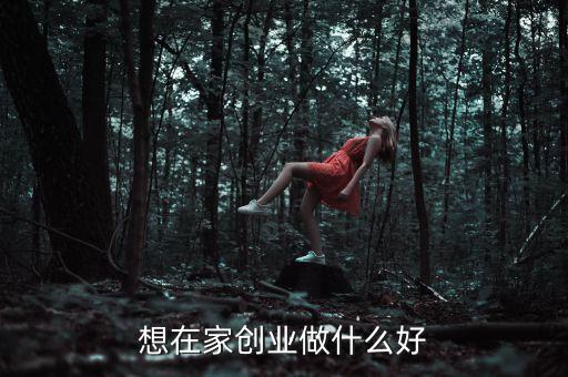 想在家創(chuàng)業(yè)做什么好
