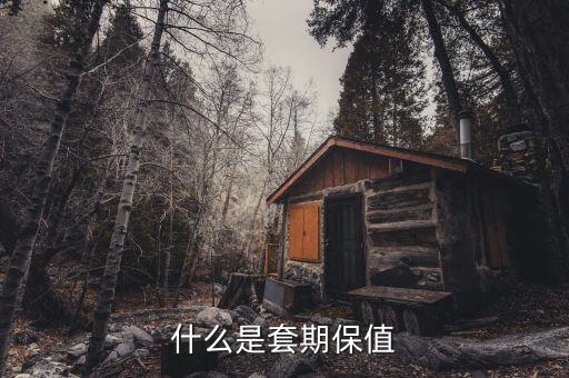 期貨套保什么意思，什么是套期保值