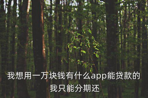 我想用一萬塊錢有什么app能貸款的 我只能分期還