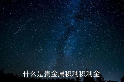 什么是貴金屬積利積利金