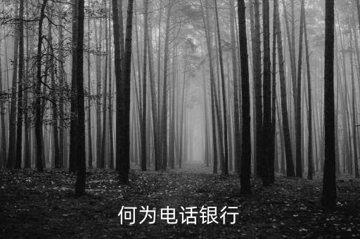 電話銀行是什么，何為電話銀行