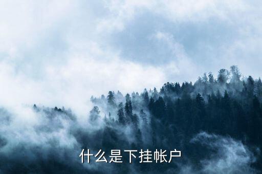 銀行下掛賬戶是什么意思，什么是借記卡下掛