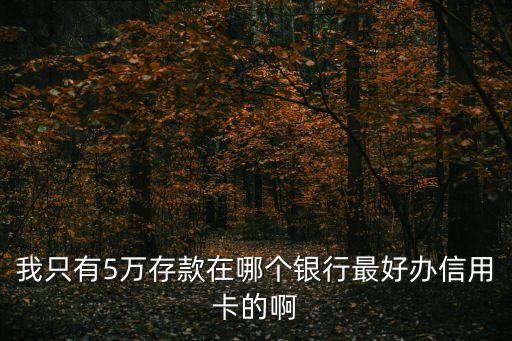 存5萬辦什么卡安全，有哪個(gè)銀行只要存五萬塊就可以辦金卡的啊