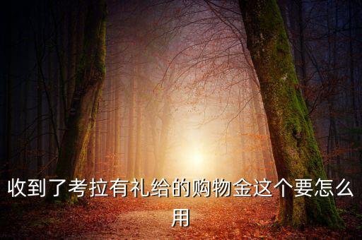 收到了考拉有禮給的購(gòu)物金這個(gè)要怎么用