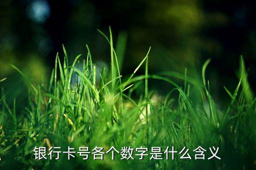 信用卡有幾個數(shù)字是什么意思是什么，信用卡后面那個簽名的地方有7位數(shù)字是什么意思