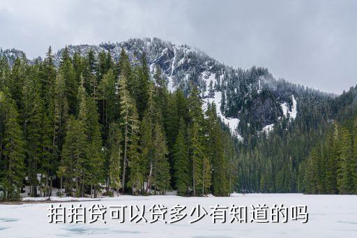 拍拍貸可以貸多少有知道的嗎