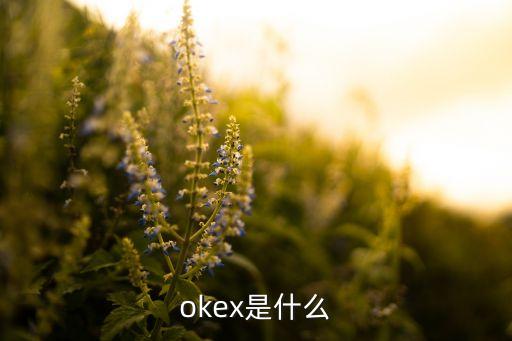 okex是什么