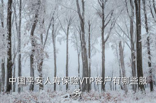平安vip金融服務(wù)是什么，成為平安VIP客戶有什么優(yōu)惠的服務(wù)啊