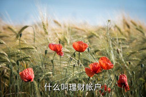 什么叫理財帳戶