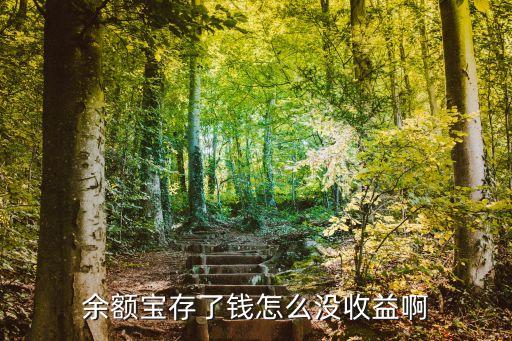 余額寶存了錢怎么沒收益啊