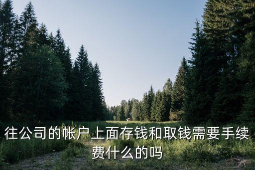 往公司的帳戶上面存錢和取錢需要手續(xù)費(fèi)什么的嗎