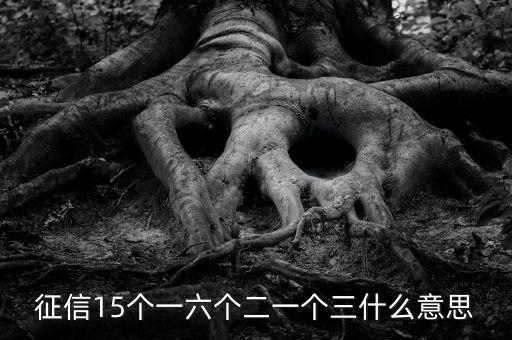 征信15個一六個二一個三什么意思
