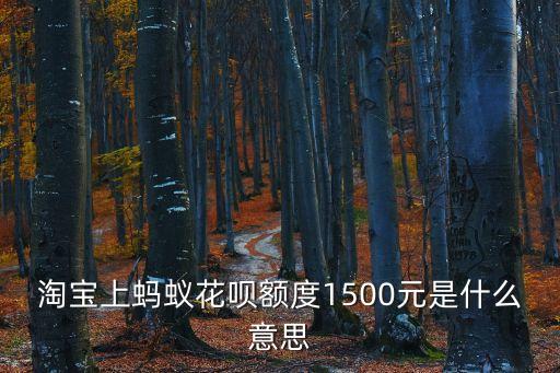淘寶上螞蟻花唄額度1500元是什么意思