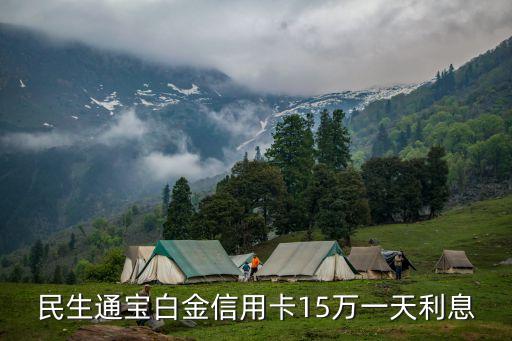 民生15萬是什么卡，民生通寶白金信用卡15萬一天利息