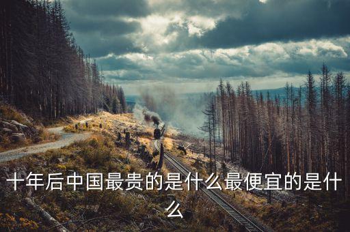 十年后中國最貴的是什么最便宜的是什么