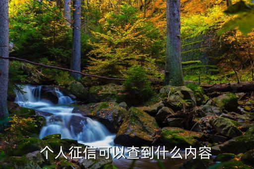 征信報(bào)告可以看到什么，個(gè)人征信報(bào)告能查到哪些記錄