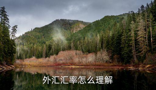 什么是匯率，什么是匯率什么是利率兩者有什么區(qū)別
