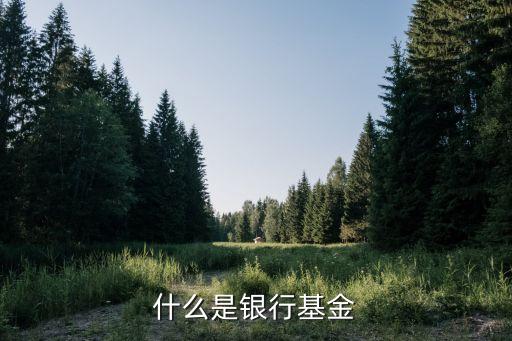 什么是銀行基金