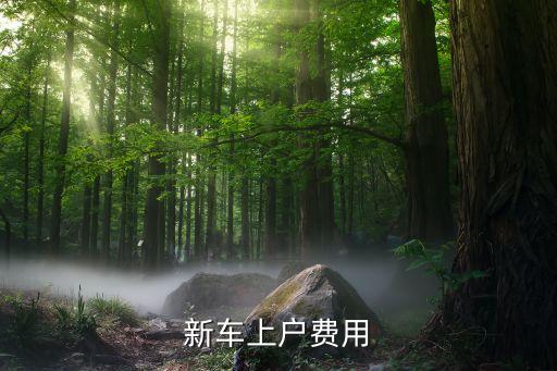 新車上戶費用