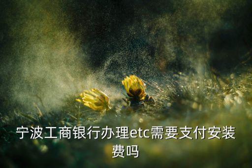 寧波工商銀行辦理etc需要支付安裝費(fèi)嗎