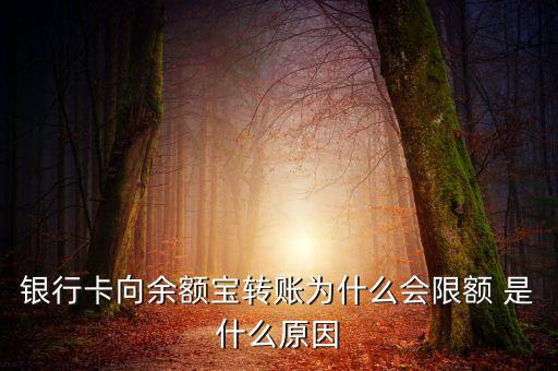 銀行卡向余額寶轉(zhuǎn)賬為什么會(huì)限額 是什么原因