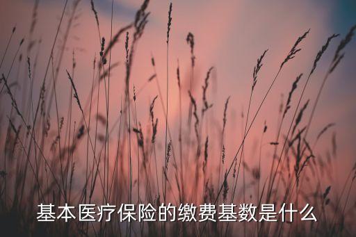什么叫醫(yī)?；鶖?shù)，醫(yī)保基數(shù)2008是什么意思