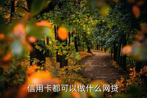 信用卡可以做什么網(wǎng)貸，有信用卡可以做什么網(wǎng)貸
