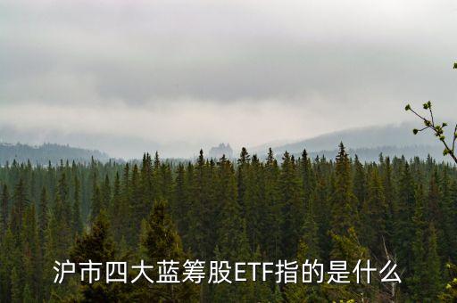 滬市四大藍(lán)籌股ETF指的是什么