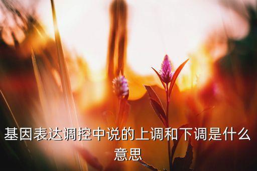 基因表達調(diào)控中說的上調(diào)和下調(diào)是什么意思