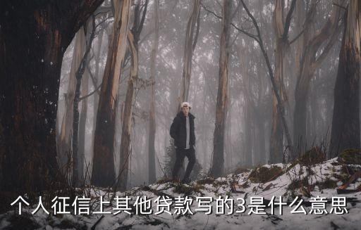 征信顯示其它貸是什么意思，個(gè)人征信上其他貸款寫的3是什么意思
