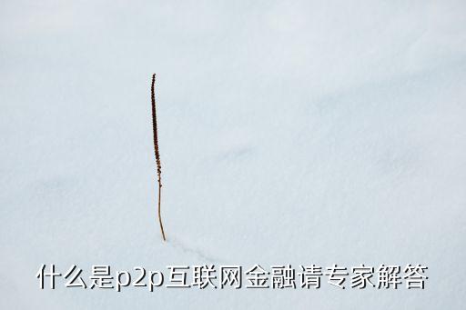 什么是p2p互聯(lián)網(wǎng)金融請專家解答