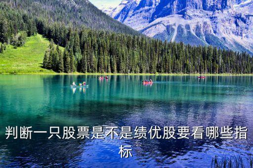 判斷一只股票是不是績優(yōu)股要看哪些指標