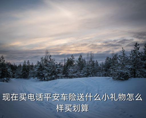 現(xiàn)在買(mǎi)電話(huà)平安車(chē)險(xiǎn)送什么小禮物怎么樣買(mǎi)劃算