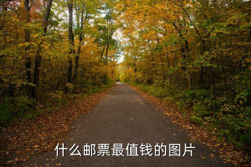 什么郵票最值錢的圖片