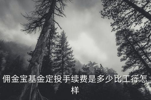 傭金寶基金定投手續(xù)費是多少比工行怎樣