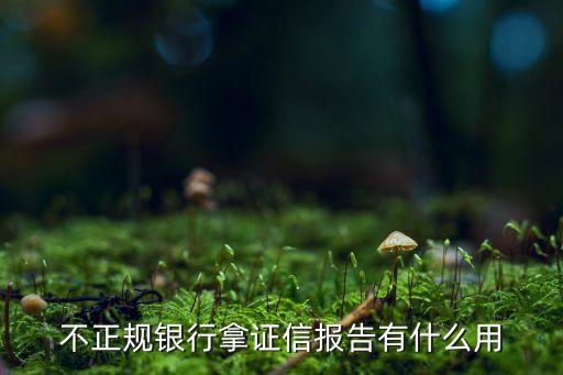 不正規(guī)銀行拿證信報告有什么用