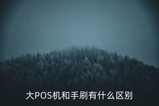大pos和手刷什么區(qū)別，大POS機(jī)和手刷有什么區(qū)別