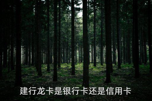 建行金鷹龍卡是什么卡，建行龍卡是銀行卡還是信用卡
