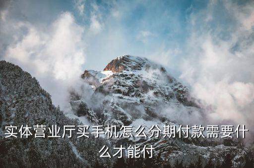 實體營業(yè)廳買手機怎么分期付款需要什么才能付