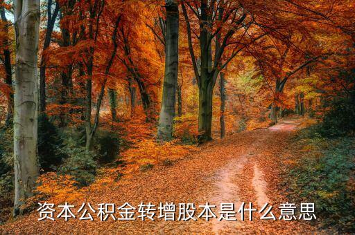 分紅轉(zhuǎn)增股本什么意思，資本公積金轉(zhuǎn)增股本是什么意思