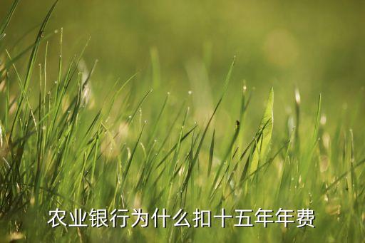 農(nóng)業(yè)銀行為什么扣十五年年費(fèi)