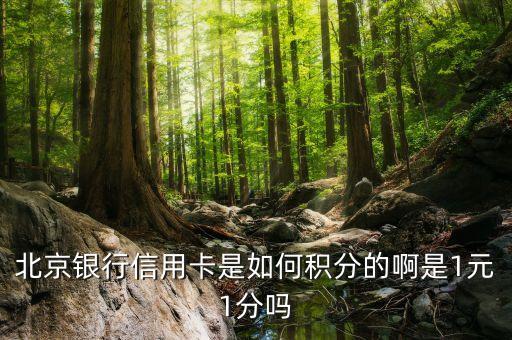 北京銀行信用卡是如何積分的啊是1元1分嗎