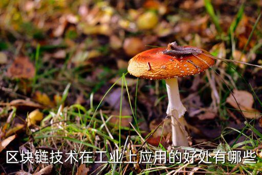 區(qū)塊鏈解決了什么問(wèn)題，區(qū)塊鏈技術(shù)在工業(yè)上應(yīng)用的好處有哪些