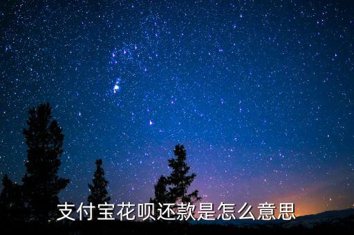 螞蟻花唄和信用卡還款是什么意思啊，什么是支付寶信用卡還款是干嘛的