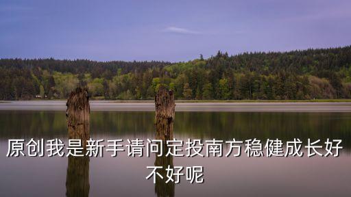 為什么我沒買南方定投，請問南方績優(yōu)有定投嗎