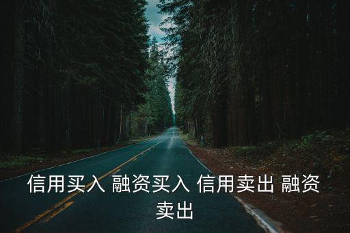 信用買入 融資買入 信用賣出 融資賣出